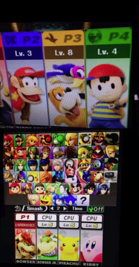 Este es el plantel completo de personajes de Super Smash Bros. para 3DS