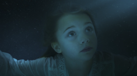 The OA The OA