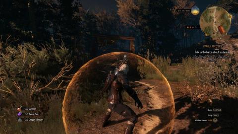 The Witcher 3: Wild Hunt The Witcher 3: Wild Hunt
