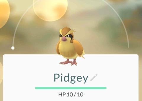 Pokémon GO Pokémon GO