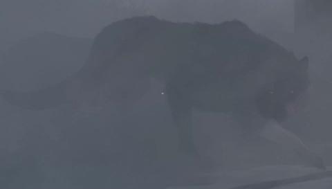 Fenrir Fenrir God of War