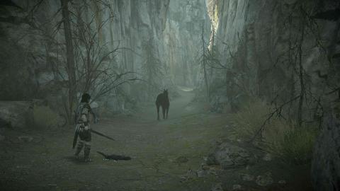 Shadow of the Colossus PS4 Shadow of the Colossus PS4