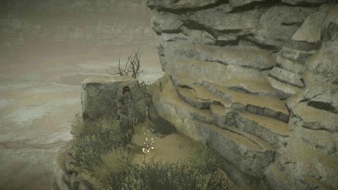 Shadow of the Colossus PS4 Shadow of the Colossus PS4