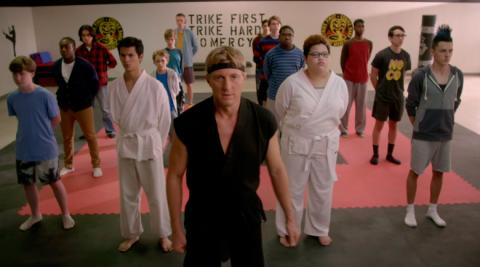 Cobra Kai, serie de Karate Kid Cobra Kai, serie de Karate Kid