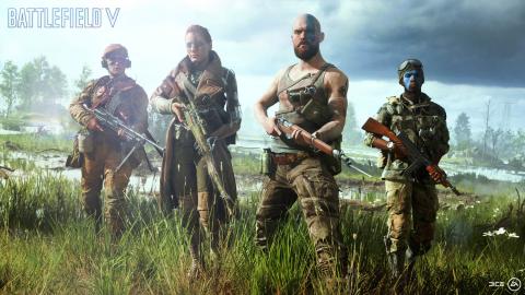Battlefield V battlefield v