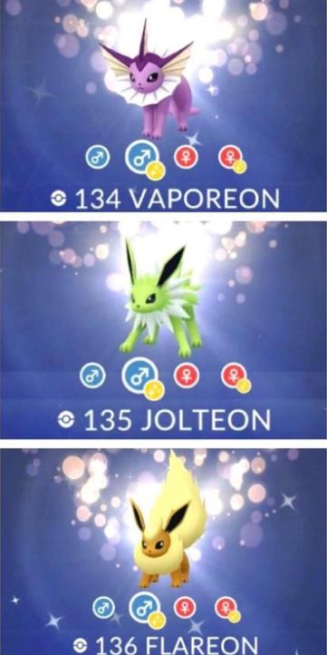 Como Y Cuando Evolucionar A Shiny Eevee En Pokemon Go Guias Y Trucos En Hobbyconsolas Juegos Como Y Cuando Evolucionar A Shiny Eevee En Pokemon Go Guias Y Trucos En Hobbyconsolas Juegos