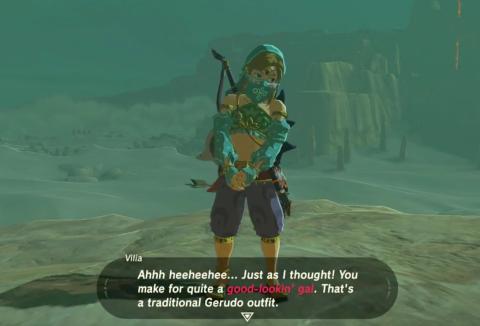 Link Gerudo Versión Traje de Link para entrar en Gerudo