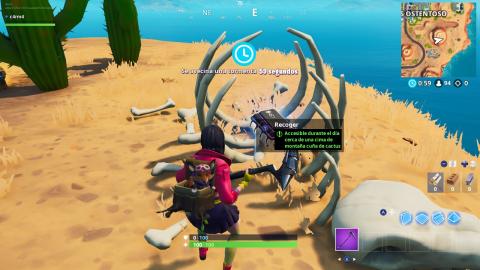 Fortbyte #81 donde está Fortbyte 81