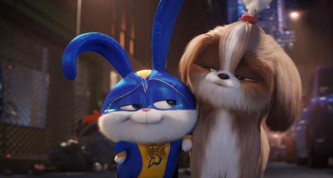 Mascotas 2 Mascotas 2