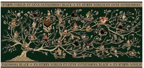 Árbol geneálogico de la familia Black Árbol geneálogico de la familia Black