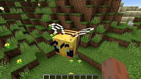 Minecraft Minecraft