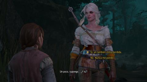 witcher switch 5 witcher switch 5