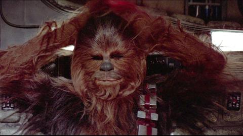 Chewbacca - Star Wars