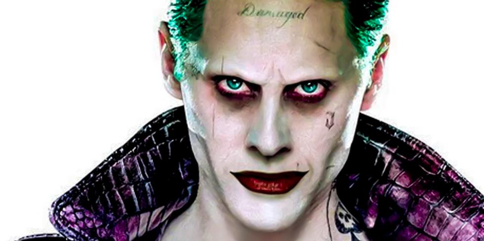Racoon - The Joker Racoon - The Joker