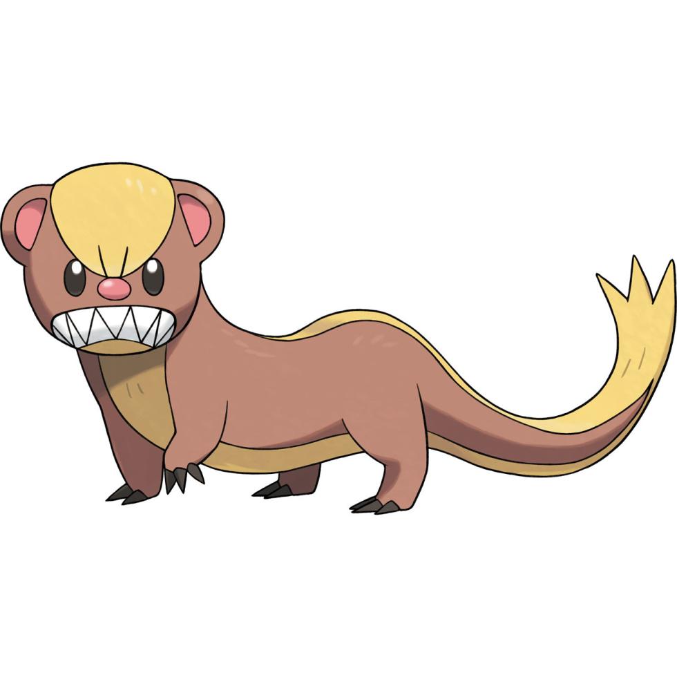 Yungoos Yungoos
