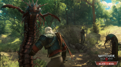 Gameplay The Witcher 3 Wild Hunt (Blood and Wine)